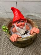 A garden gnome in a wishing well bath