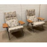A pair of Mid Century Robin Day chairs for Hillie