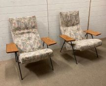 A pair of Mid Century Robin Day chairs for Hillie