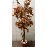 A faux Acer in a pot, autumnal colours (H200cm)