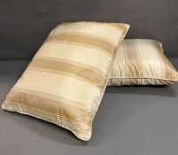 A pair of silk large cushions