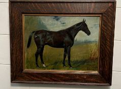 An oil on canvas of an equine portrait signed lower right E Paite with possibly the name of the