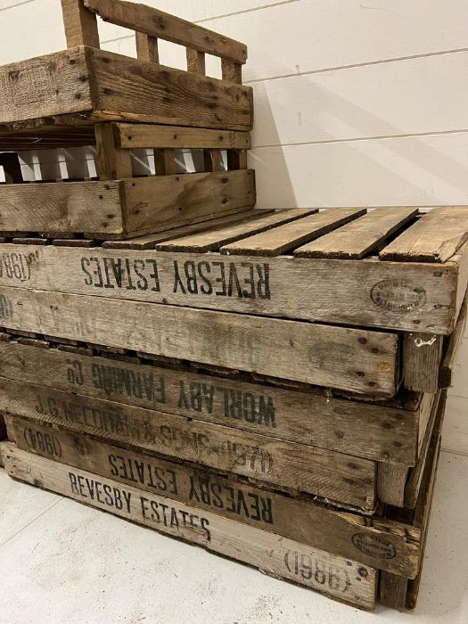 Ten wooden fruit and vegetable crates/trays (H16cm W75cm D45cm) - Image 2 of 6