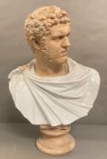 A terracotta bust of the roman emperor Caracalla with a white glazed toga. Height 66cm