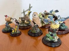 A selection of model birds, various makers country artist, Royal Doulton etc