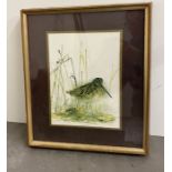 A print of a common snipe