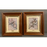 Two framed textured pictures a chaffinch and a gold finch