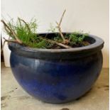 A large two tone blue glazed garden planter