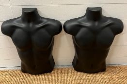 Two mannequin plastic torso