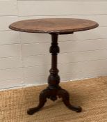 A burr walnut oval pedestal side table on tripod legs