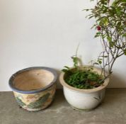 Two floral pattern garden planters