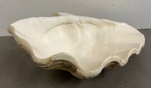 A faux clam shell 34cm x 23cm