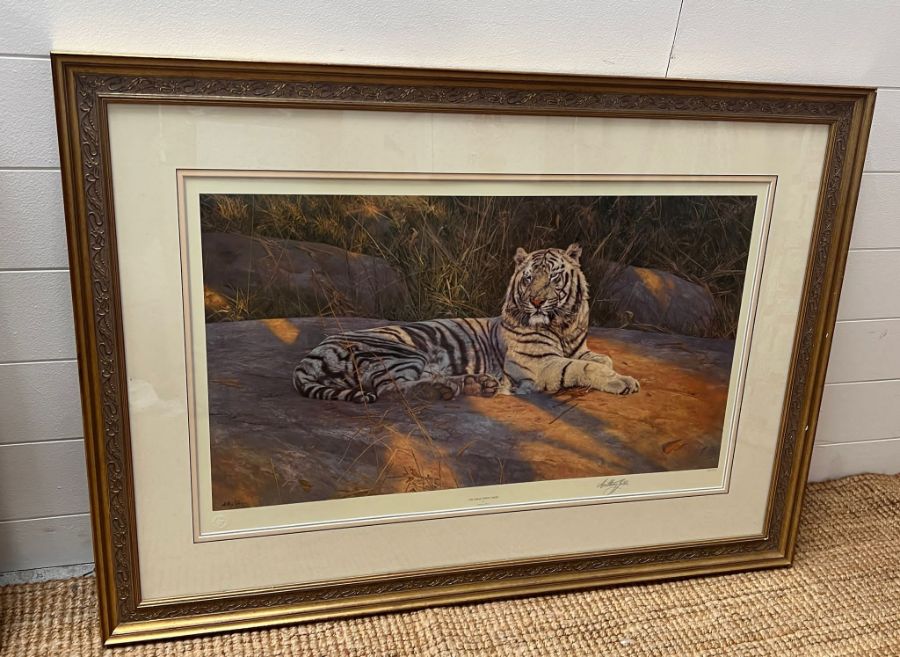 The Great White Tiger by Anthony Gibbs print 1146/1500 (106cm x 76cm)