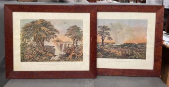 Two prints, The Falls by Sunrise and Herd of Buffaloes