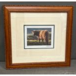 A study of a long horned cow by Andrew Hutchinson limited print 81/490