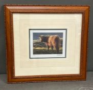 A study of a long horned cow by Andrew Hutchinson limited print 81/490