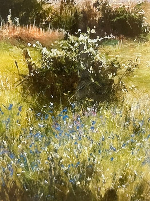 A Giclee print "Coastal Bluebells" by David Dipnall - Image 2 of 3