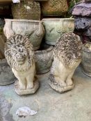 Two stone garden lion guards