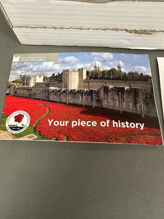 A Tower of London "Blood Swept Lands And Seas Of Red" poppy. Boxed and with certificate of - Image 4 of 4