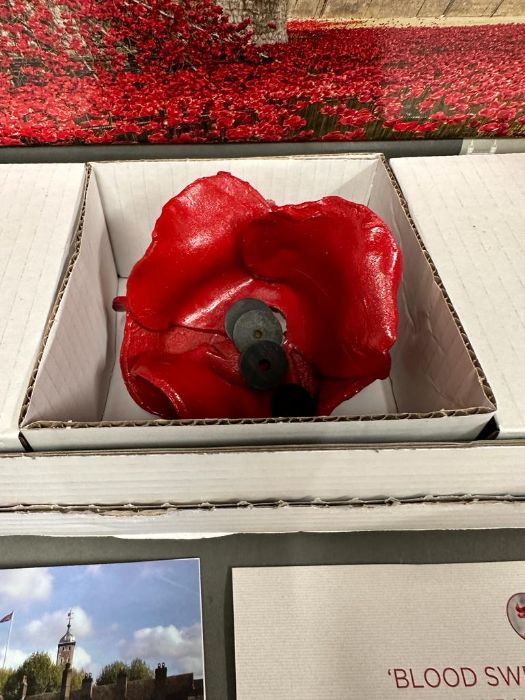 A Tower of London "Blood Swept Lands And Seas Of Red" poppy. Boxed and with certificate of - Image 2 of 4