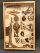A cased selection of Mediterranean plant specimens