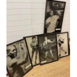 Five portraits of legendary boxers