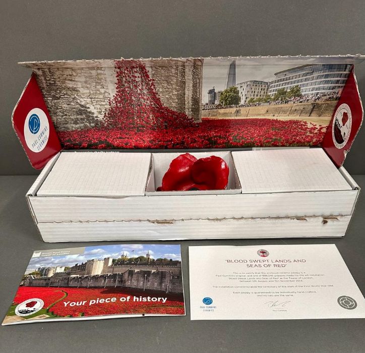 A Tower of London "Blood Swept Lands And Seas Of Red" poppy. Boxed and with certificate of