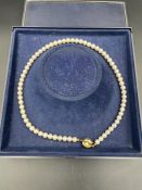 A pearl necklace with yellow gold, marked 585, clasp with inset pearl.
