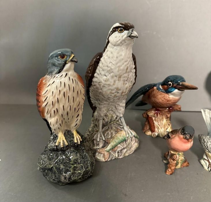 A selection of Beswick birds and one Royal Doulton - Image 3 of 5