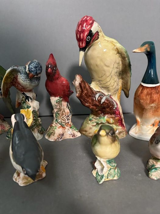 A selection of thirteen Beswick birds - Image 3 of 6