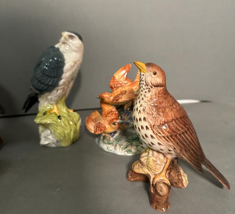 A selection of Beswick birds and one Royal Doulton - Image 2 of 5