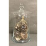 A large glass lidded display jar and a set of ornamental African monkey apples (H40cm)