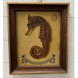 A Seahorse picture signed top left 37 cm x 30.5 cm