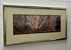 Framed Photograph Snowy River Country. Vic. 78/100 signed Ken Duncan 1996 (104cm x 54cm framed)