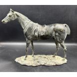 A bronze of a saddled horse, unsigned (Approximate measurements 24cm H and 29cm L)
