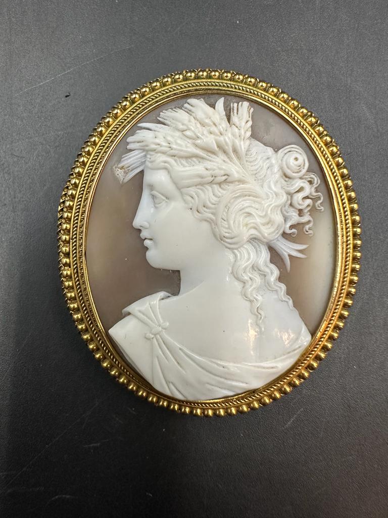 Yellow gold shell cameo brooch of a woman