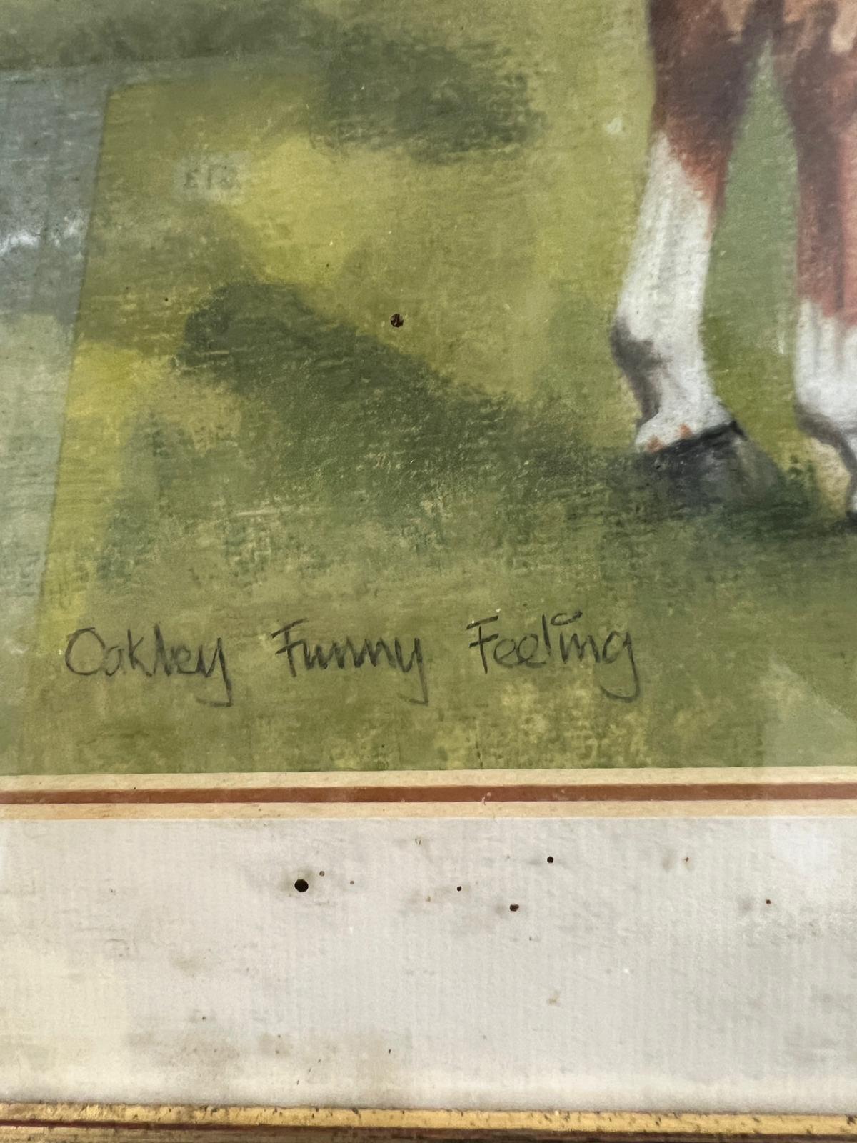 Oil on canvas of 'Oakley Funny Feeling' signed Linda Boddy '94 - Image 2 of 3