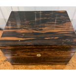 A coromandel jewellery box with fitted trays, hidden drawers (20cm x 23cm x 31cm)