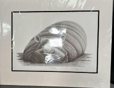 Warwick Higgs 'Big Pebbles' artist signed copy June 2000 Image size 131/2" x 191/2"