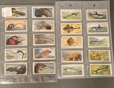 A collection of Zoological players cigarette cards