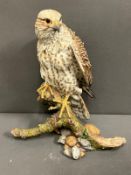 A Saker Falcon sculpture 02775 (32cm)