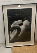 A limited edition print by the photographer and filmmaker Tony McGee "Diamond Swan"