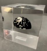 A decorative Concha in Acrylic cube.