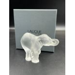 A Lalique crystal elephant calf 'Timori' boxed