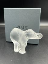 A Lalique crystal elephant calf 'Timori' boxed
