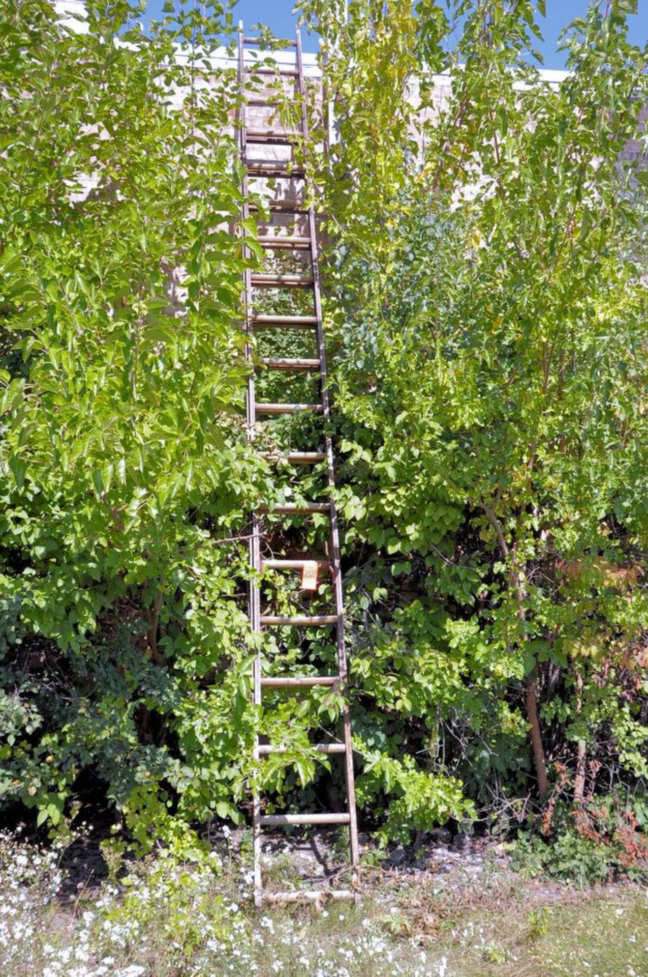 32 ft. Aluminum Extension Ladder (Removal Cost : N/C)