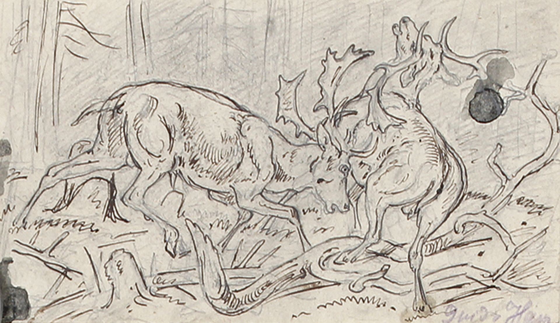 EDMUND GUIDO HAMMER: Fuchs, Wildschweine mit Beute, Hirschkämpfe und Tierstudien.
