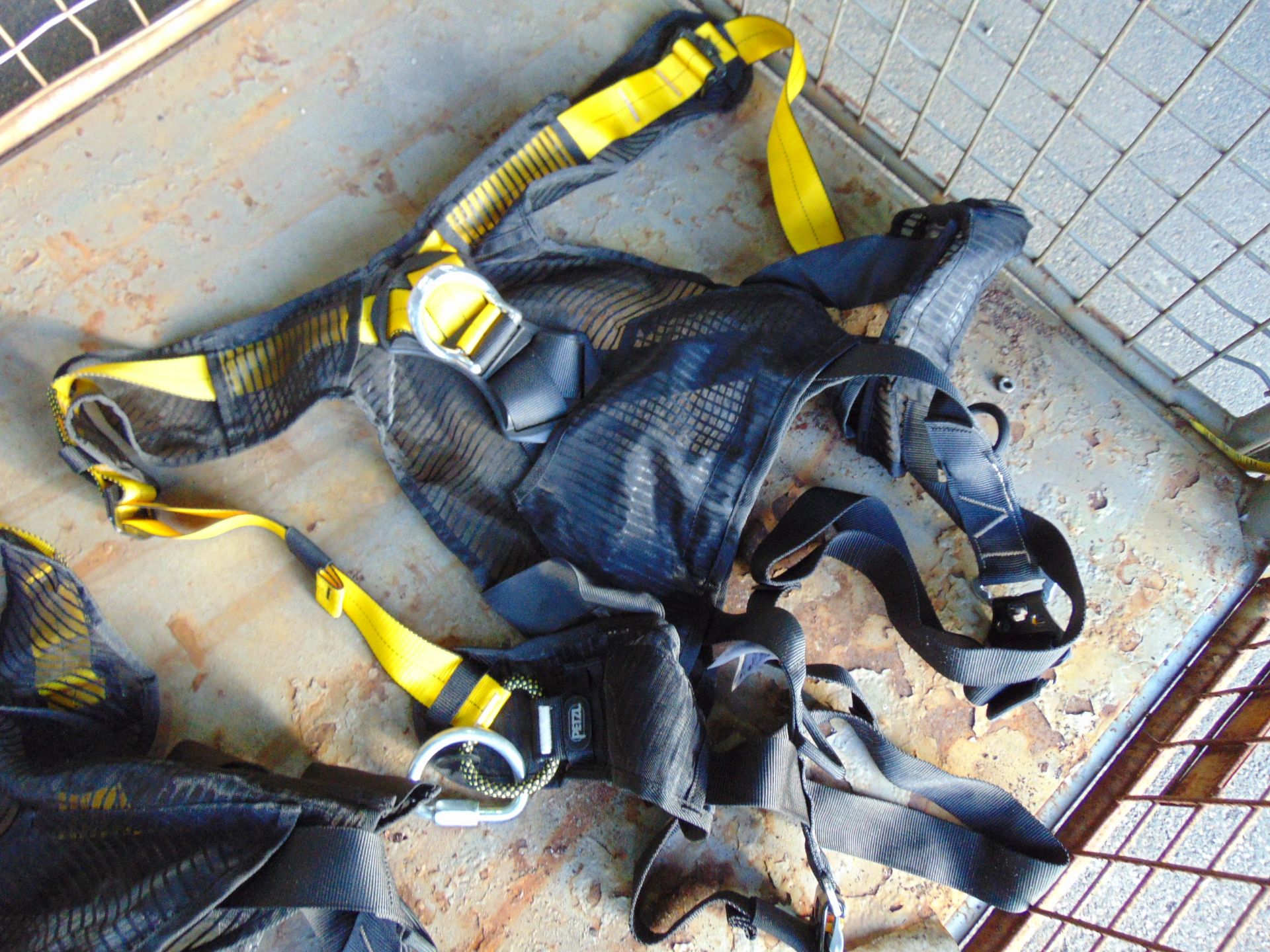 2 x Petzl Newton Fast Jak Fall Arrest Harnesses - Image 2 of 7