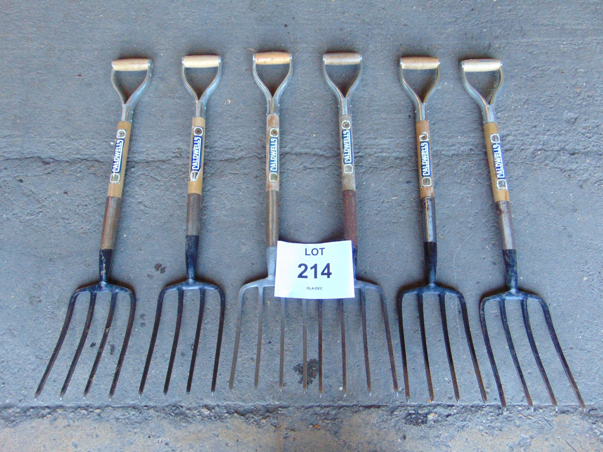 6 x Digging Forks - Image 5 of 5