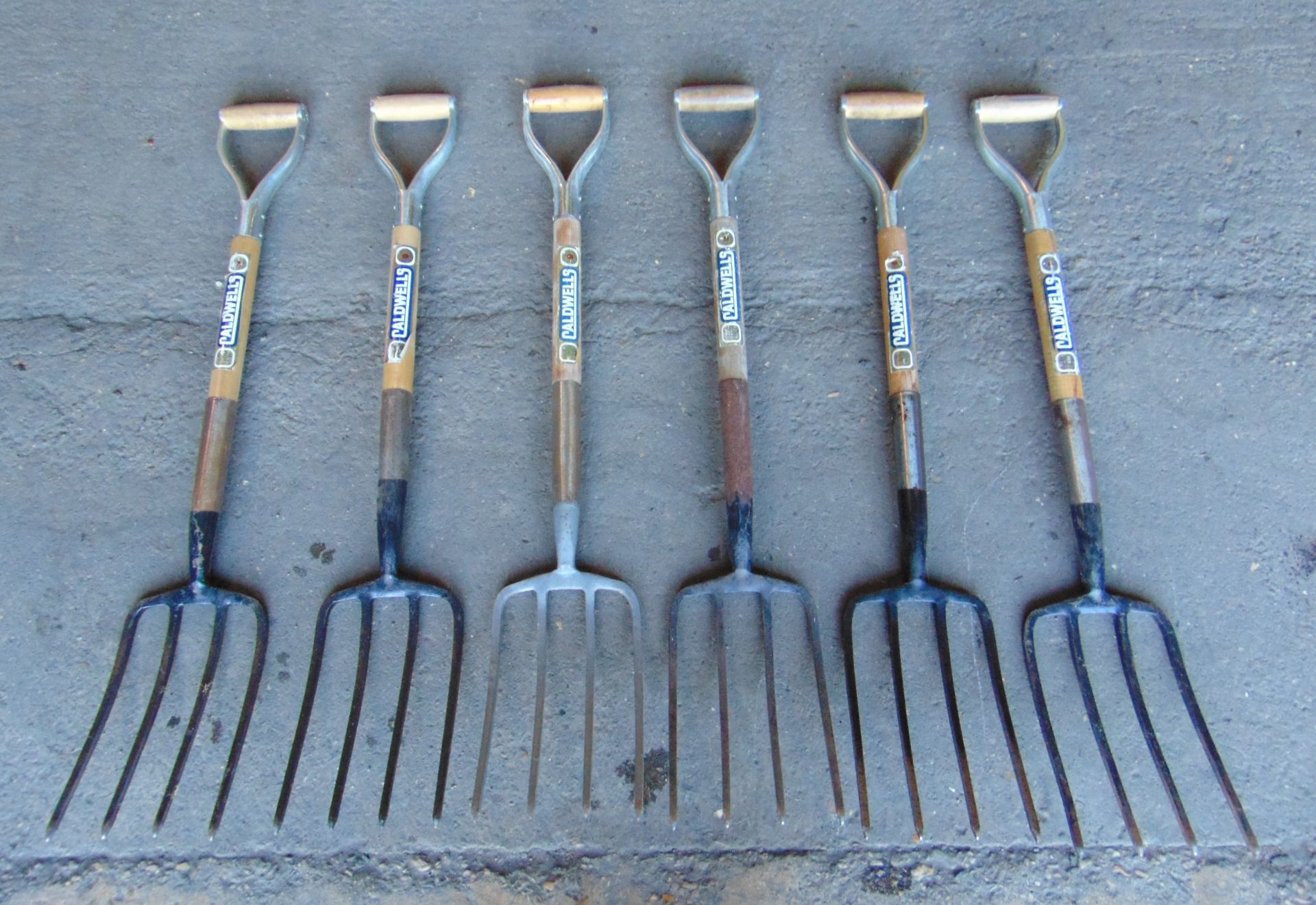 6 x Digging Forks